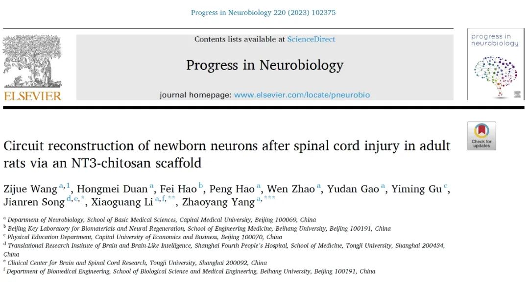 IF=10.885【客户文章】首医大李晓光/杨朝阳教授团队发文阐释NT3-壳聚糖修复脊髓损伤后新生神经元的亚型分类及环路重建情况