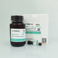 RIPA裂解液(强),RIPA Lysis Buffer (Strong)