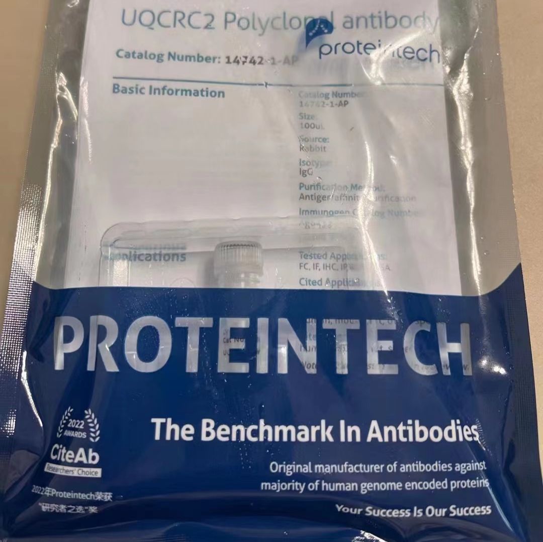 Marcks Rabbit Polyclonal Antibody