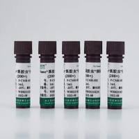 Anti-Nano黑胶虫清除试剂(200×)