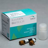 Hoechst 33342/PI双染试剂盒