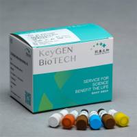 端粒酶活性荧光实时定量PCR法检测试剂盒（人）