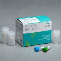 细胞凋亡DNA Ladder抽提试剂盒