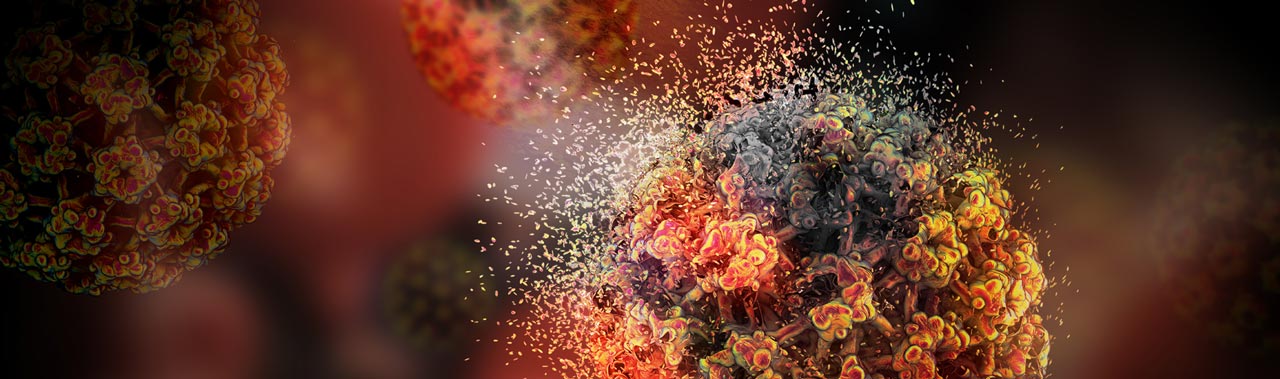 热疗法对抗人类乳突病毒相关恶性肿瘤之机制基础