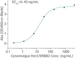 CAR-T细胞免疫治疗靶点蛋白