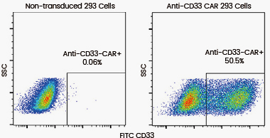 PE标记人Siglec-2 / CD22重组蛋白（His标签）