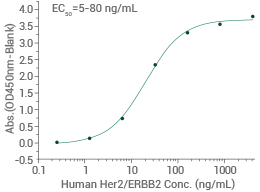CAR-T细胞免疫治疗靶点蛋白