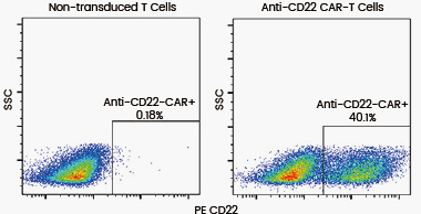 PE标记人Siglec-2 / CD22重组蛋白（His标签）