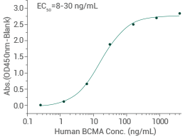 CAR-T细胞免疫治疗靶点蛋白