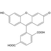 6-FAM硒[6-羧基荧光素]