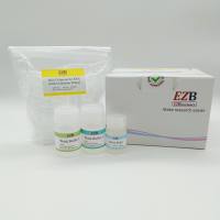 通用型RNA提取试剂盒