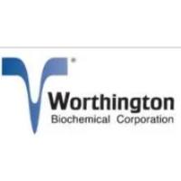 中性蛋白酶（分散酶），纯化，无动物成分/AF