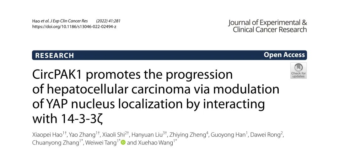 J Exp Clin Cancer Res丨新型circPAK1通过多种机制在HCC中发挥作用
