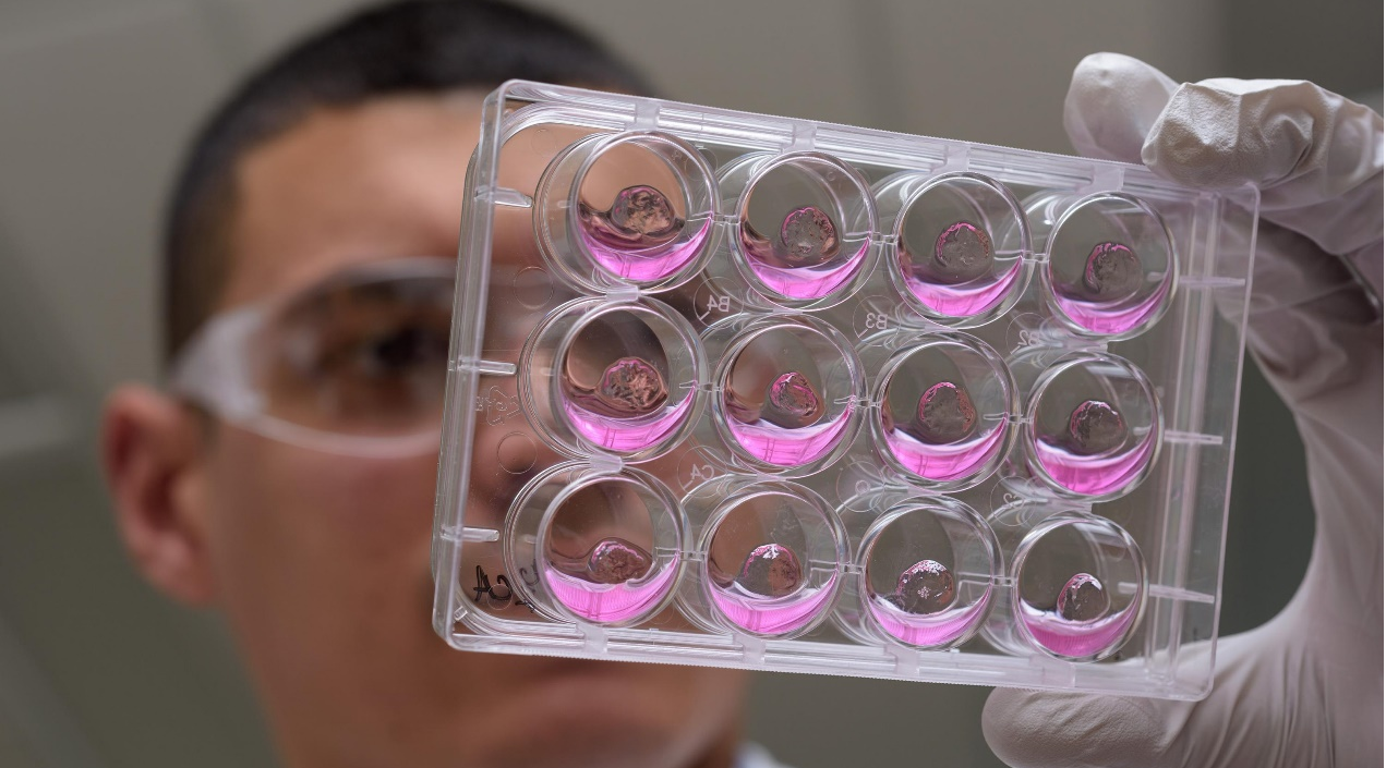 材料 | 听100遍反方向的钟不能回到过去，但PEG水凝胶可以