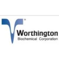 STEMxyme® 2 ​​胶原酶/中性蛋白酶（分散酶）