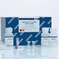 52904病毒核酸提取试剂