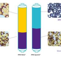 IPAK Meta Quanta 纯化柱 赠 Millipak终端过滤器