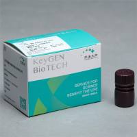 高敏CCK-8细胞增殖检测试剂盒