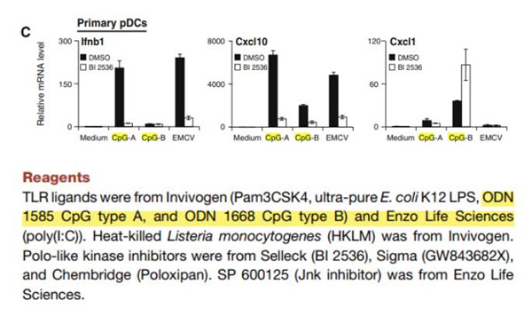 超低内毒素艾美捷全家族CpG ODN系列特点介绍