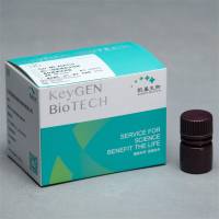 WST-1细胞增殖及细胞毒性检测试剂盒