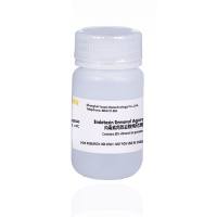 内毒素高效去除纯化树脂