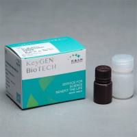 MTT细胞增殖及细胞毒性检测试剂盒