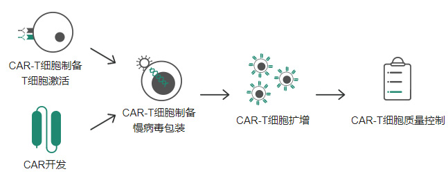 综合性的CAR-T细胞疗法开发解决方案