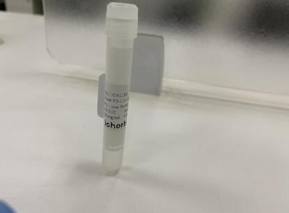 艾美捷ichorbio CD4体内抗体，无惧竞争对手