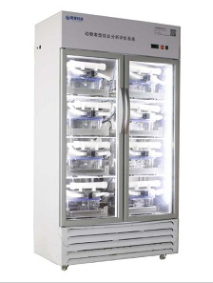 硫化物的分解代谢可改善缺氧性脑损伤