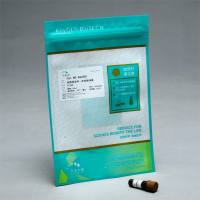 死细胞核染料-绿菁SYTOX