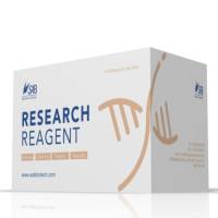 PKH26细胞染色试剂盒