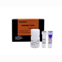 动物组织PCR组分