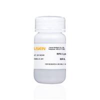 RIPA裂解液（弱）