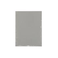 转印滤纸 蛋白质转印滤纸 核酸转印滤纸