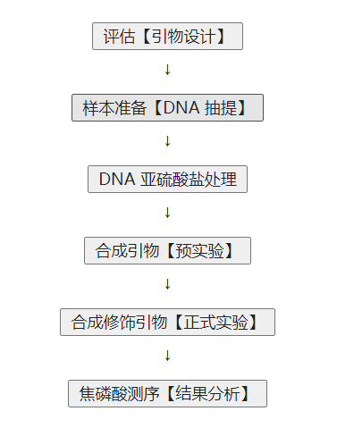 焦磷酸测序实验流程