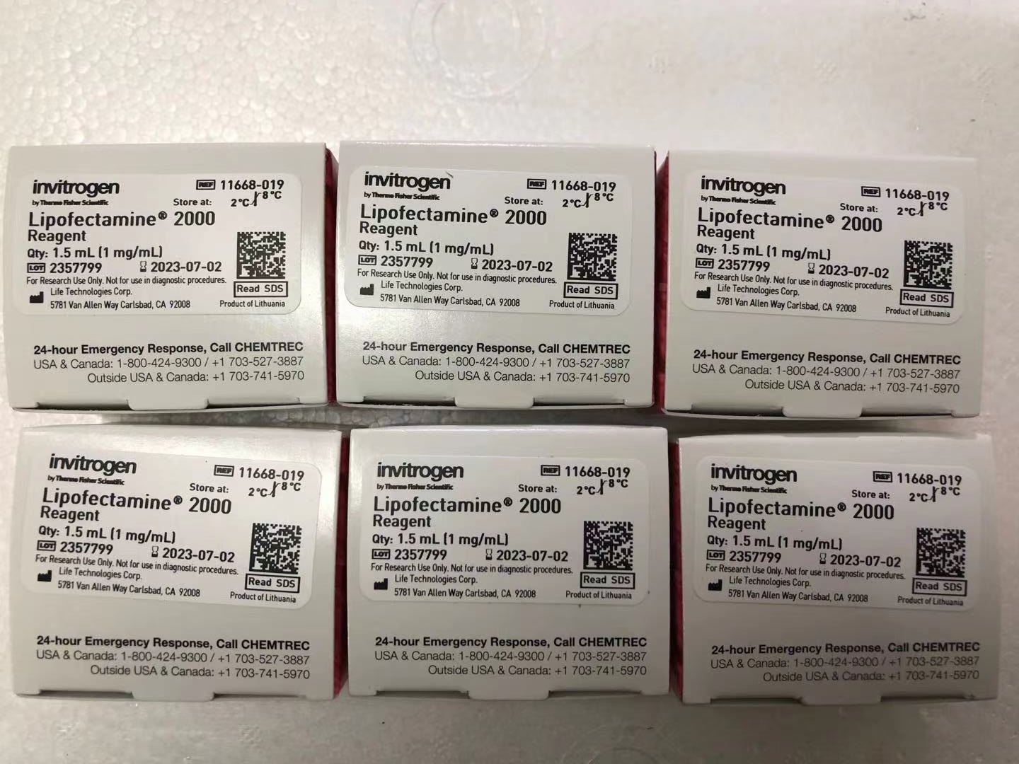 Invitrogen货号11668-019现货Lipo 20