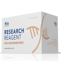 细胞存活率检测试剂盒