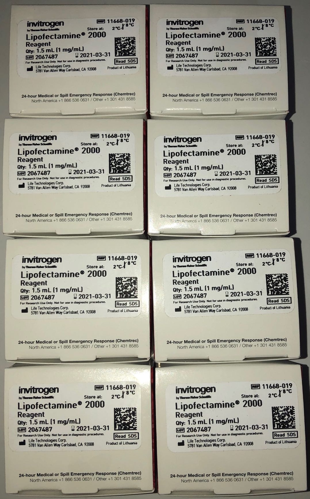 Invitrogen货号11668-019现货Lipo 20