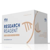 活细胞/死细胞染色试剂盒