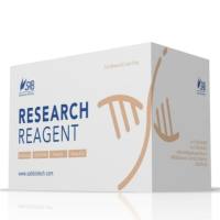 线粒体染色试剂盒