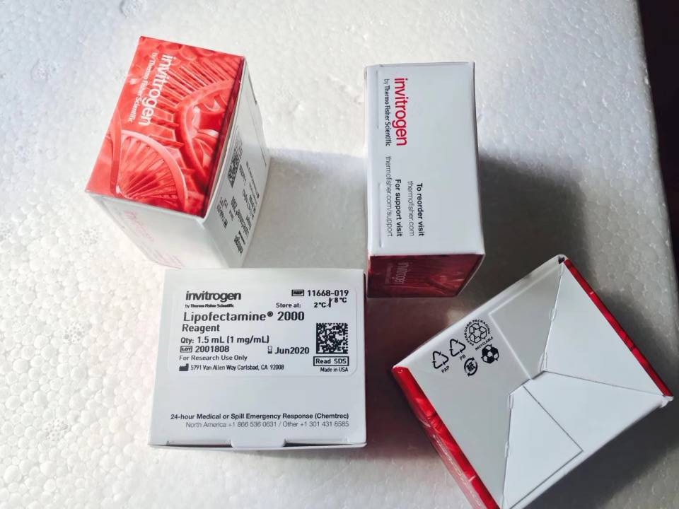 Invitrogen货号11668-019现货Lipo 20