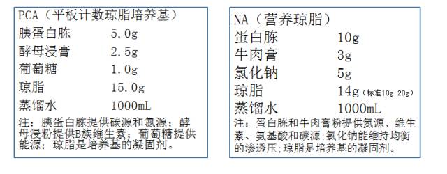 全面解析丨菌落总数检测知识汇总，新手必看~