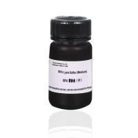RIPA裂解液（中）RIPA Lysis Buffer
