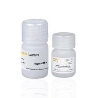 细胞膜/细胞浆蛋白抽提试剂盒