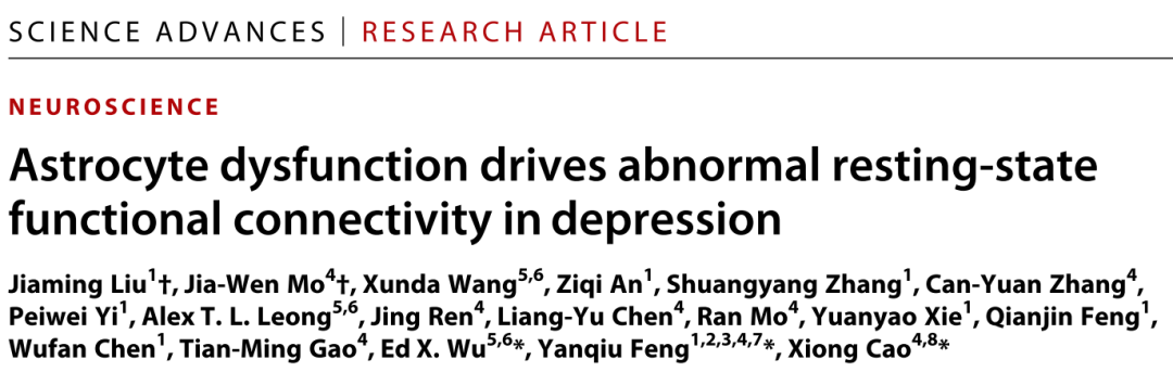 Science Advances：南方医科大学曹雄团队揭示星形胶质细胞调控大脑抑郁网络的作用机制
