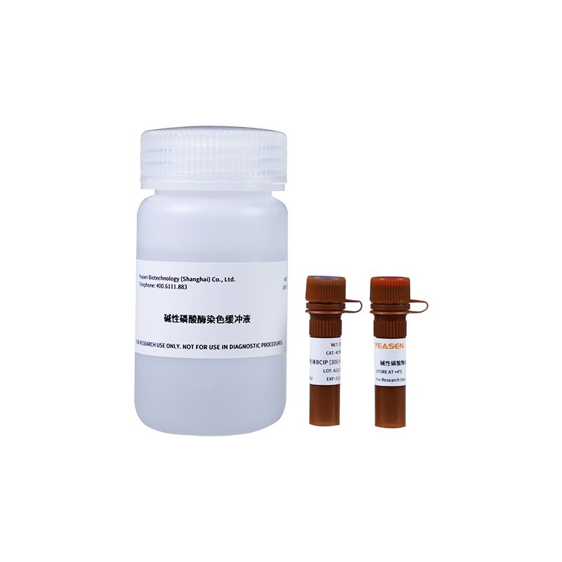 碱性磷酸酶染色试剂盒(Alkaline Phosphatase Stain Kit)