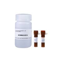 碱性磷酸酶染色试剂盒(Alkaline Phosphatase Stain Kit)