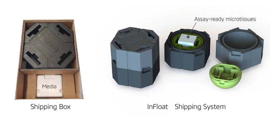 InSphero将活的mini-organs运输到世界各地