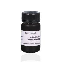 免疫印迹及免疫沉淀用(WB/IP)裂解液