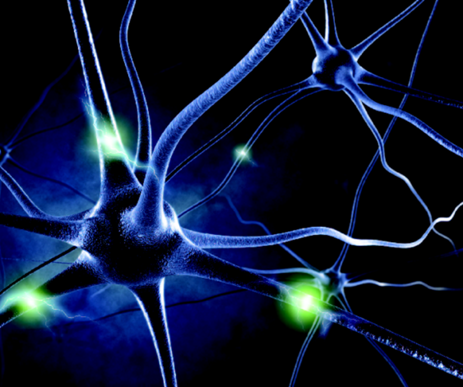 详解光纤记录在神经系统疾病研究中的应用